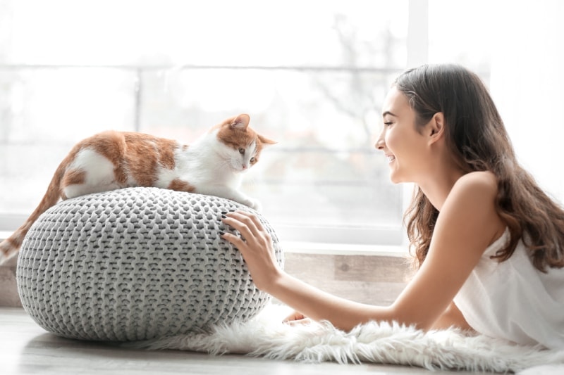young cat owner playing with her pet at home