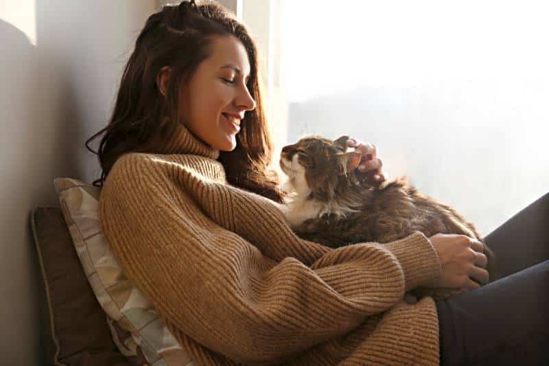 young woman holding cute siberian cat with green eyes
