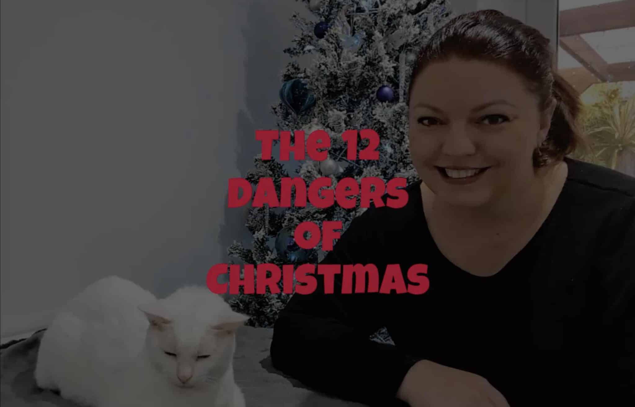 The 12 Dangers of Christmas for Cats (Sung by Dr. Karyn & Clutch) - Catster