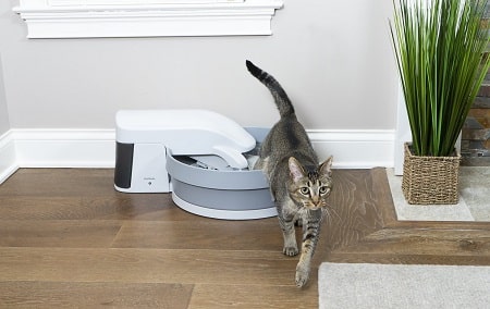 13PetSafe Simply Clean Self-Cleaning Litter Box