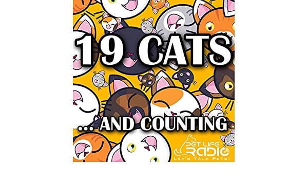 19 Cats and Counting podcast