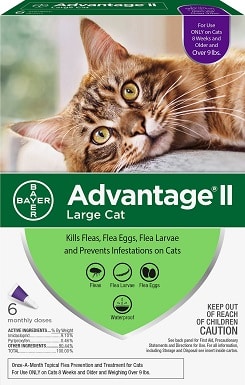 1Advantage II Flea Treatment for Large Cats