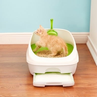 1Tidy Cats Breeze Cat Litter Box System