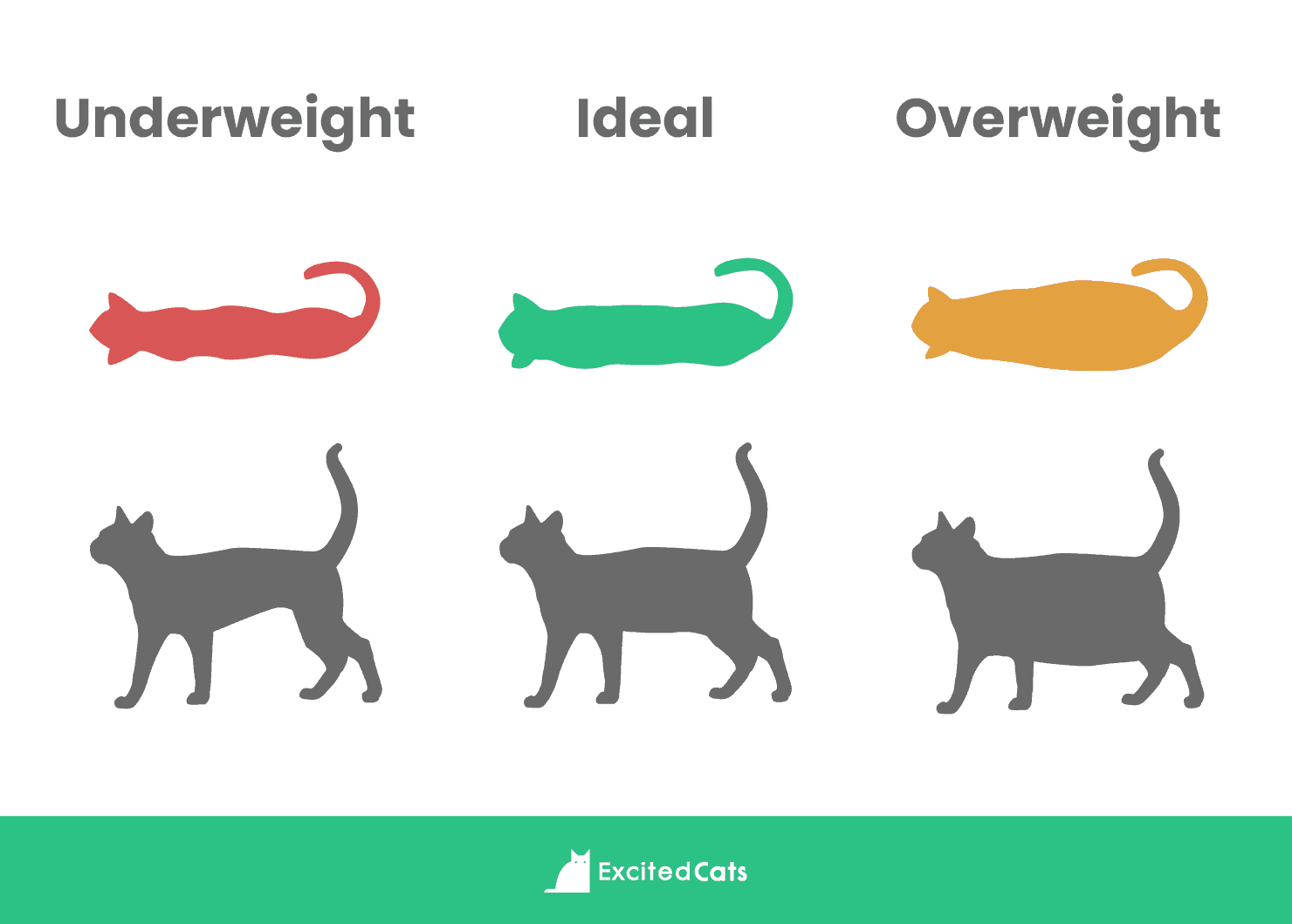 cat weight
