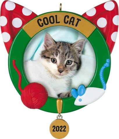 2022 Cool Cat Ornament Photo Frame