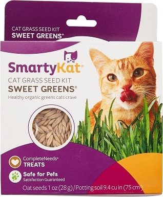 2SmartyKat Sweet Greens Cat Grass Seed Kit