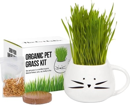 3The Cat Ladies Organic Pet Grass Grow Kit with Planter