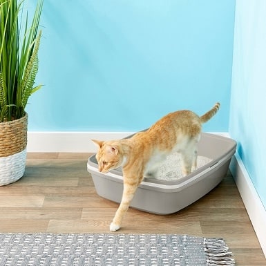 5Frisco Sifting Cat Litter Box