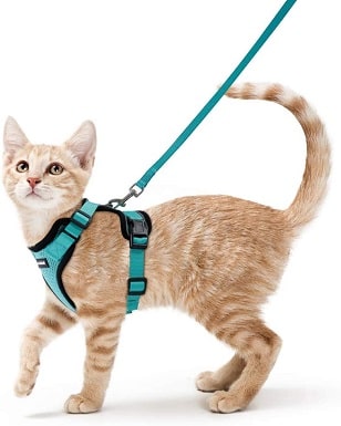 6rabbitgoo Cat Harness