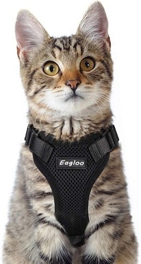 7Eagloo Cat Harness Escape