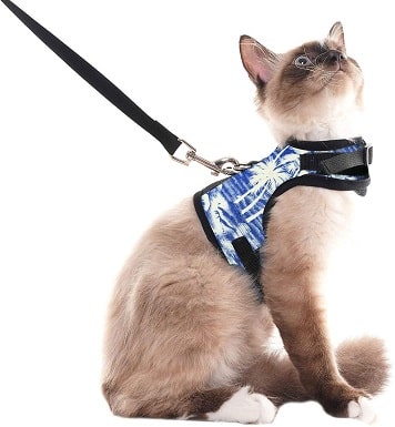 9SCENEREAL Escape Proof Cat Harness
