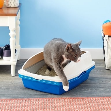 9Van Ness Sifting Cat Litter Pan
