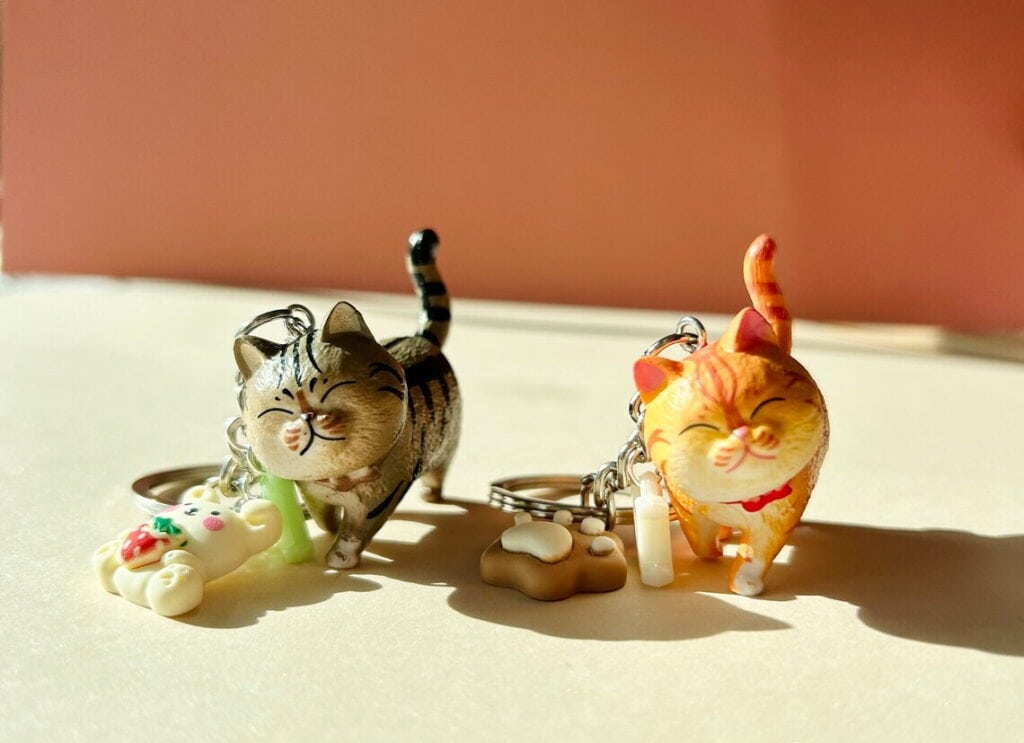 A personalized cat keychain