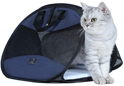Best cat carrier for shop scared cat