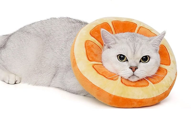 ANWA Adjustable Cat Cone Collar Soft
