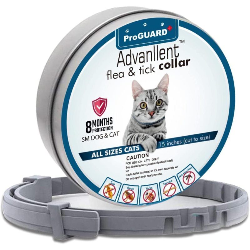 6 Best Flea Collars for Cats - MrBossCat