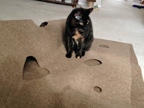 Ripple Rug Cat Activity Mat: Endless Fun for Your Feline!