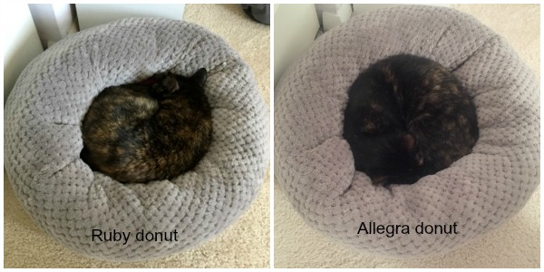 donut-cat-bed