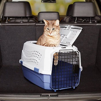 AmazonBasics Two-Door Top-Load Hard-Sided Pet Travel Carrier