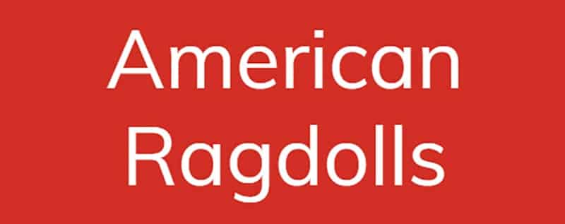 American Ragdolls logo