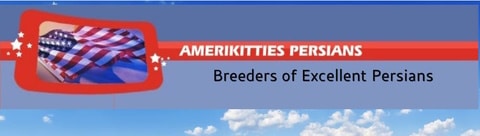 Amerikitties persians logo