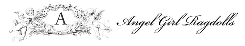 Angel Girl Ragdolls logo