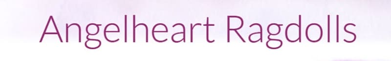 Angelheart Ragdolls logo