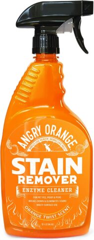 Angry Orange Bio-Enzymatic Pet Stain & Odor Eliminator Spray