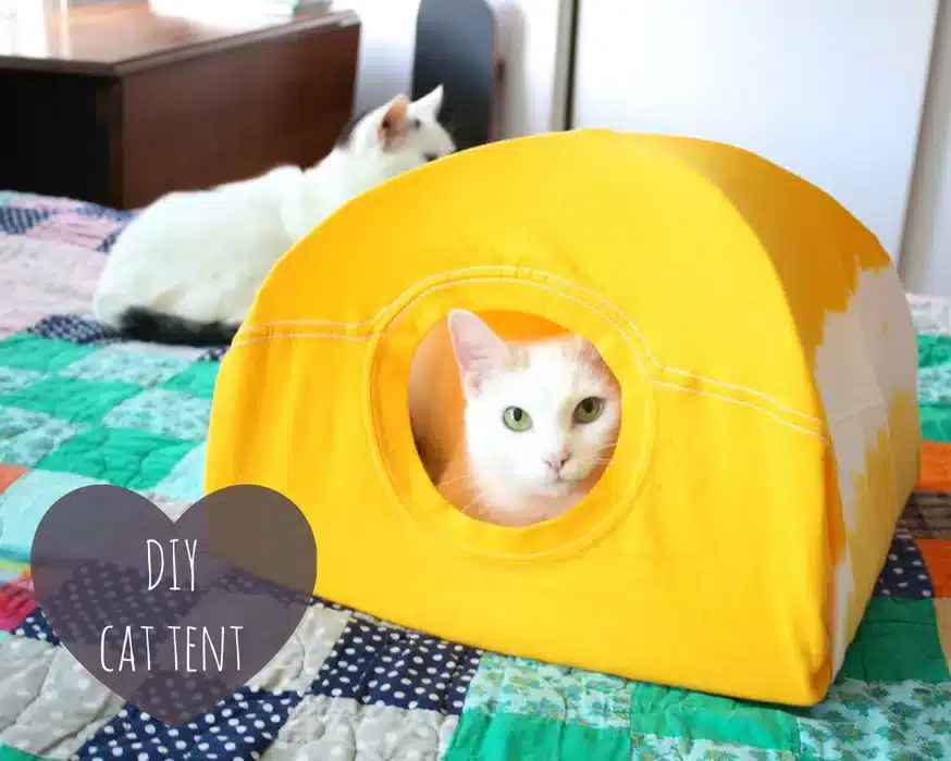 Another T-Shirt Tent Cat Hiding Place by jessyratfink
