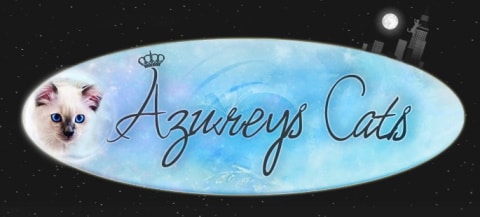 Azureys cats logo