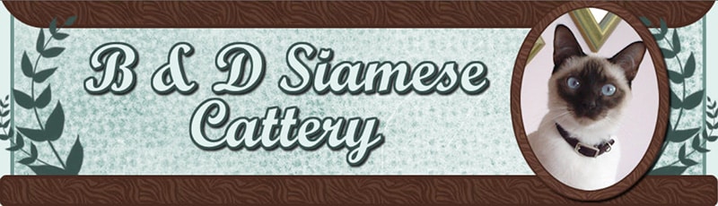 B & D Siamese Cattery logo