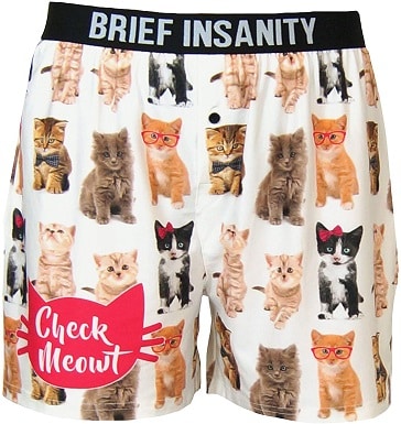 BRIEF INSANITY Boxer Briefs