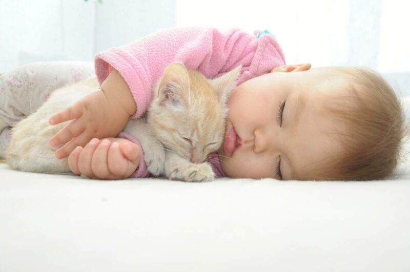 Baby and cat sleeping together on white sheet