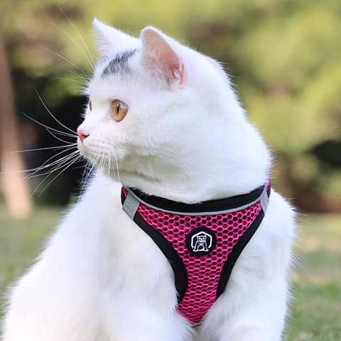 Balabuki Cat Harness Vest