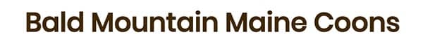 Bald Mountain Maine Coons logo