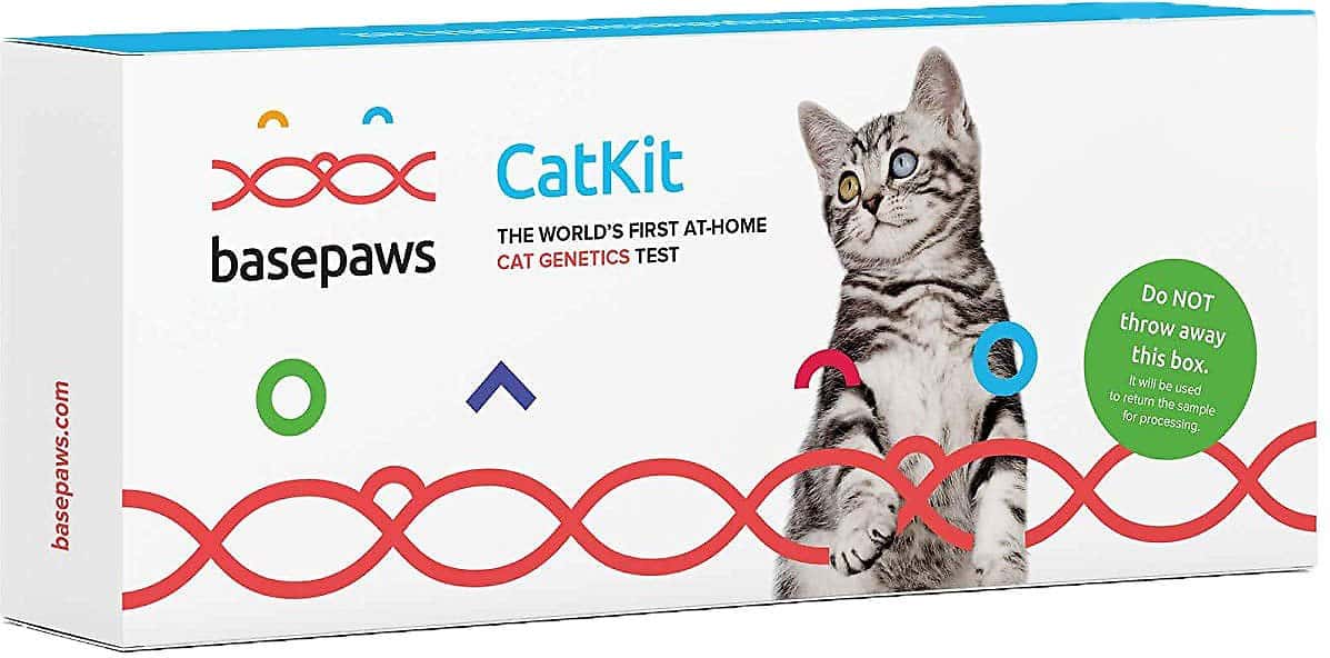 Basepaws CatKit At-Home Cat Genetics Test