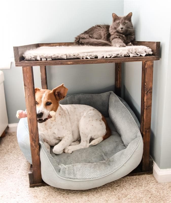 Basic DIY Pet Bunkbed by Kreg Tool