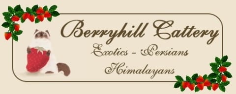 Berryhill cattery logo
