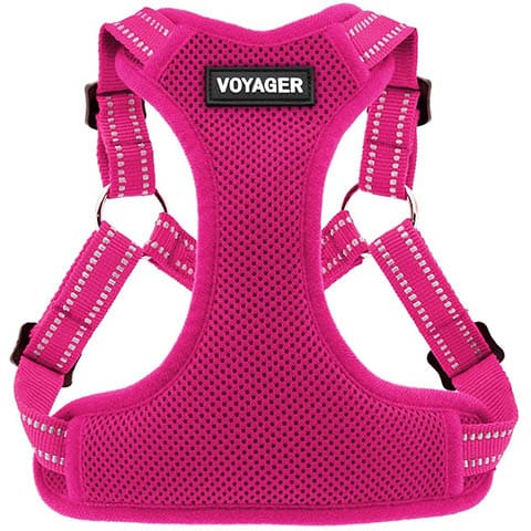 Best Pet Supplies Voyager Fully Adjustable Step-In Mesh Harness