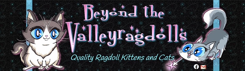 Beyond The Valley Ragdolls logo