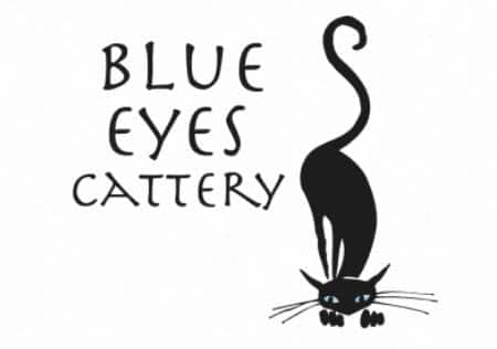 Blue Eyes Cattery logo