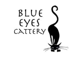 Blue Eyes Cattery