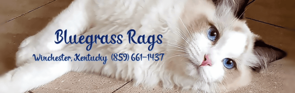 Bluegrass Rags Ragdolls