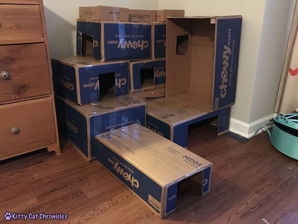 Box Fort by Kitty Cat Chronicles