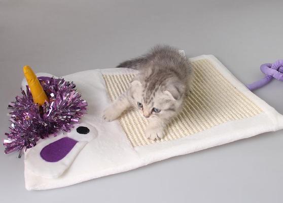 BoxCat subscription sisal blanket