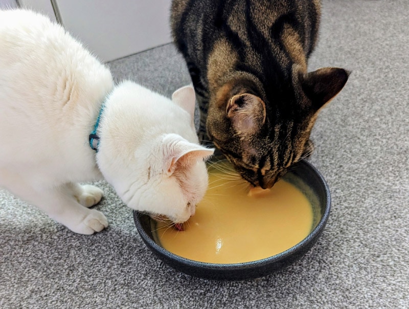 Butternut Pumpkin Soup