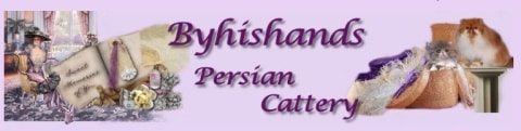 Byhishands persian logo