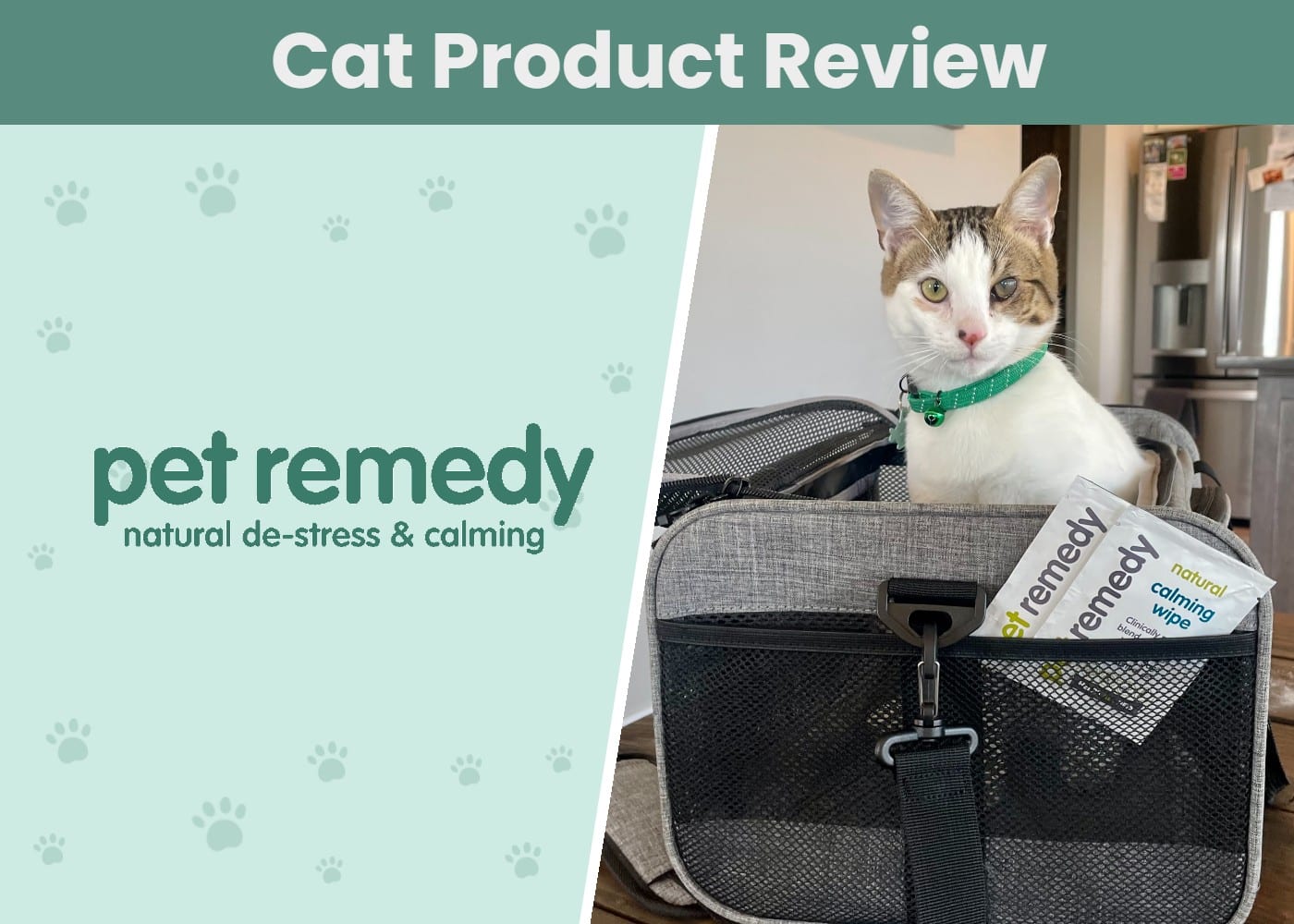 CAT_SAPR_Pet Remedy Kitten Kit