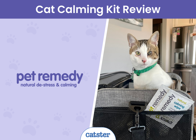CAT_SAPR_Pet remedy Cat Calming Kit