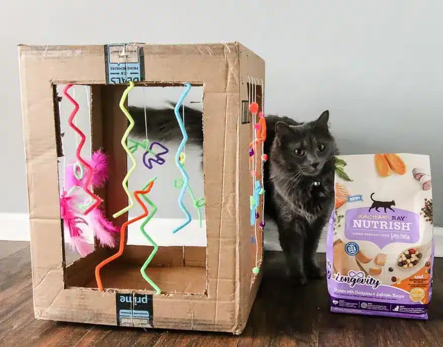 Cardboard Activity Box by Charleston Crafted
